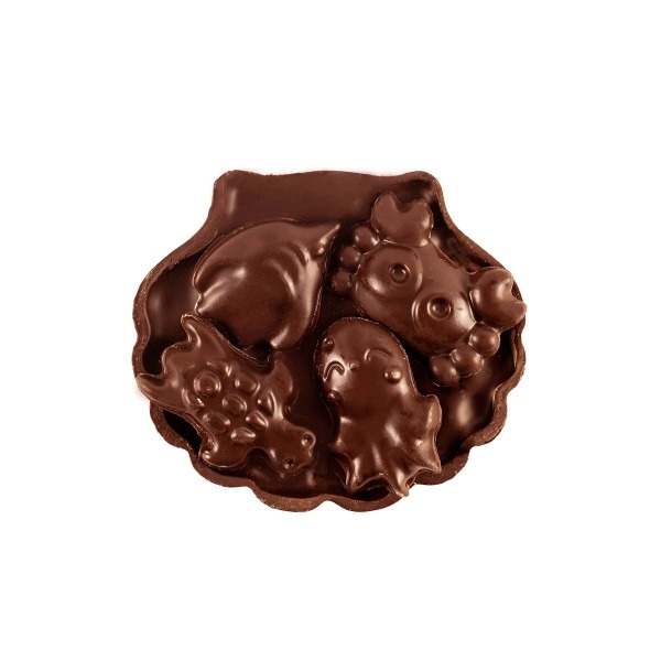 COQUILLE NOIR T1