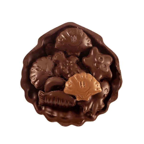 COQUILLE NOIR T2