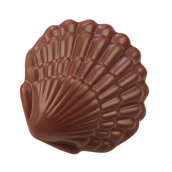 Coquillage en chocolat au lait - Chocolaterie Bellanger