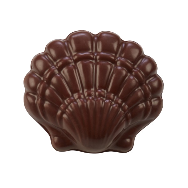 Coquillage en chocolat noir - Chocolaterie Bellanger