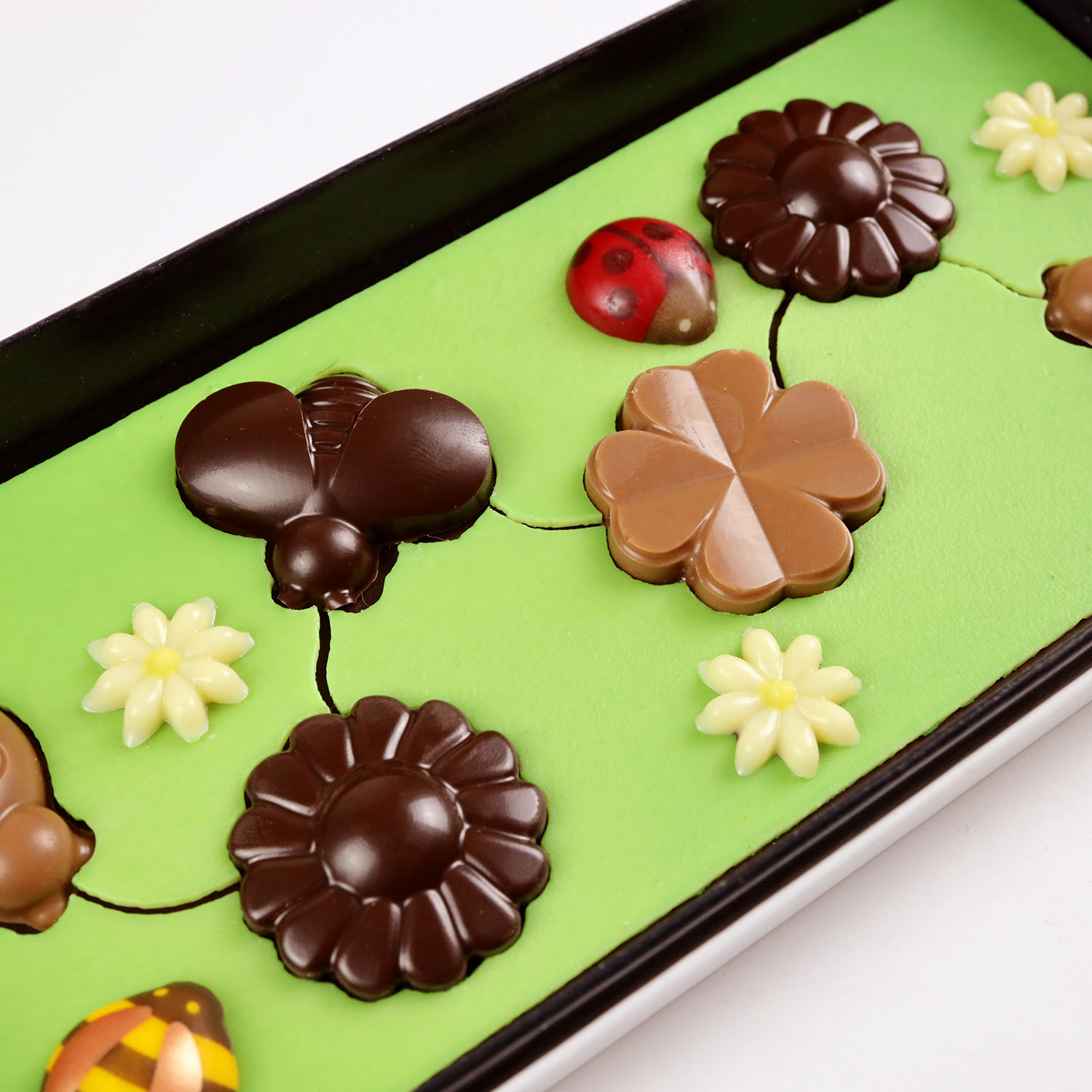 COFFRET LES BESTIOLES