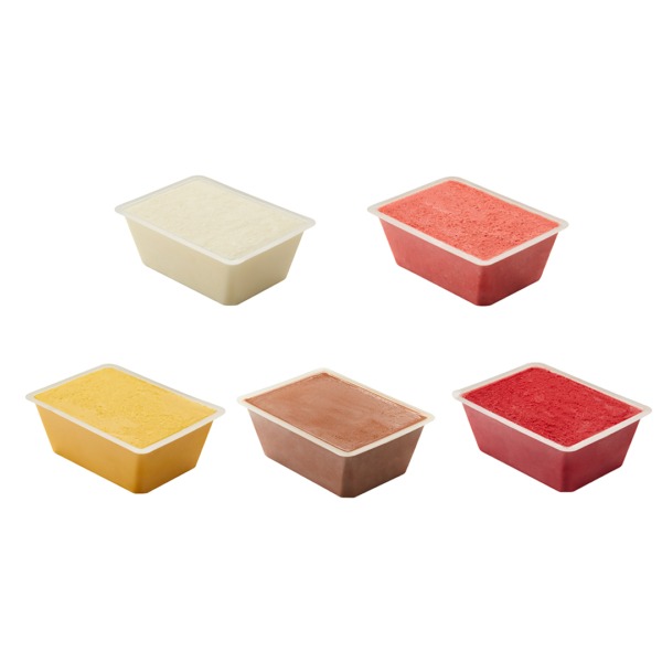 PACK SORBET 5 1/2L