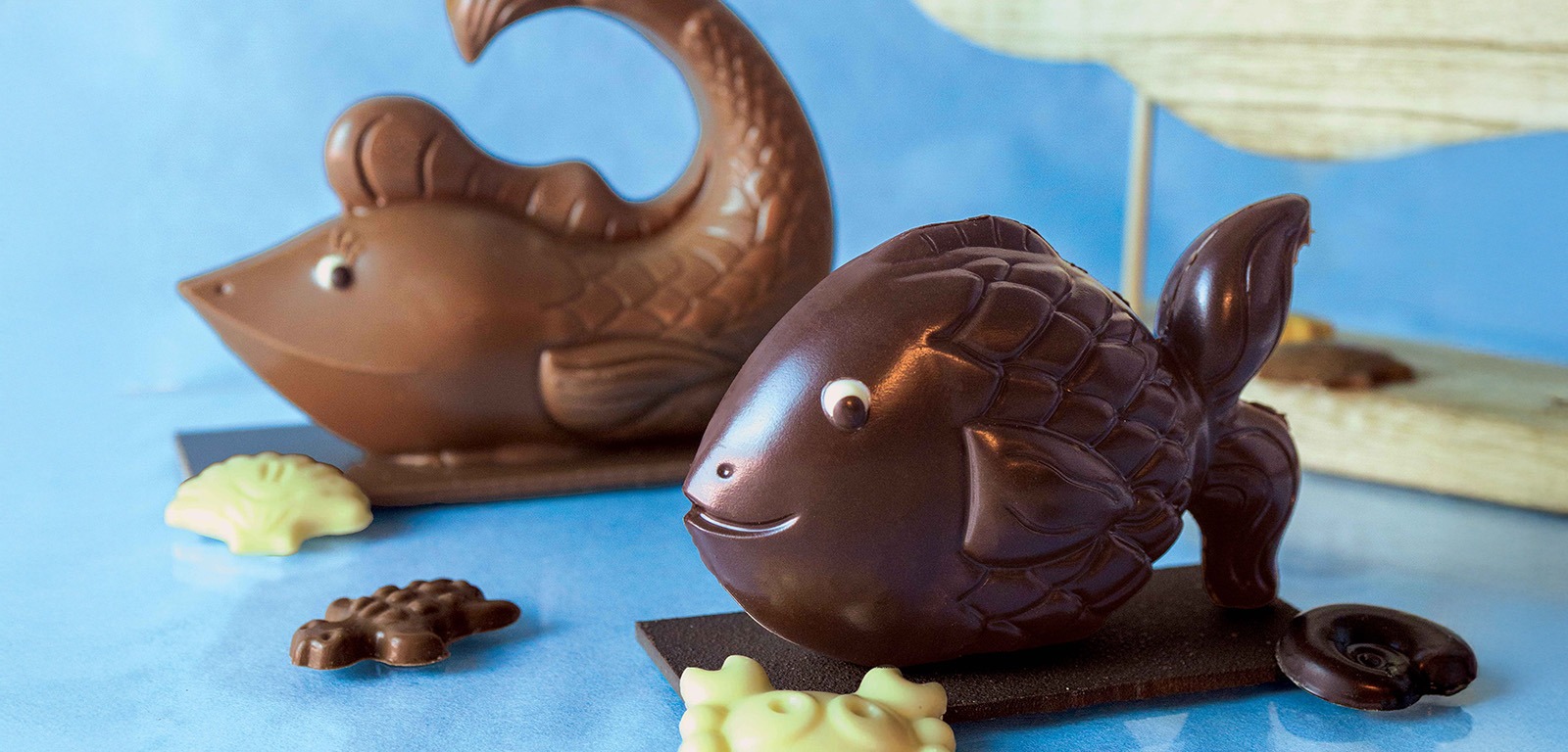 La pêche aux poissons est ouverte !