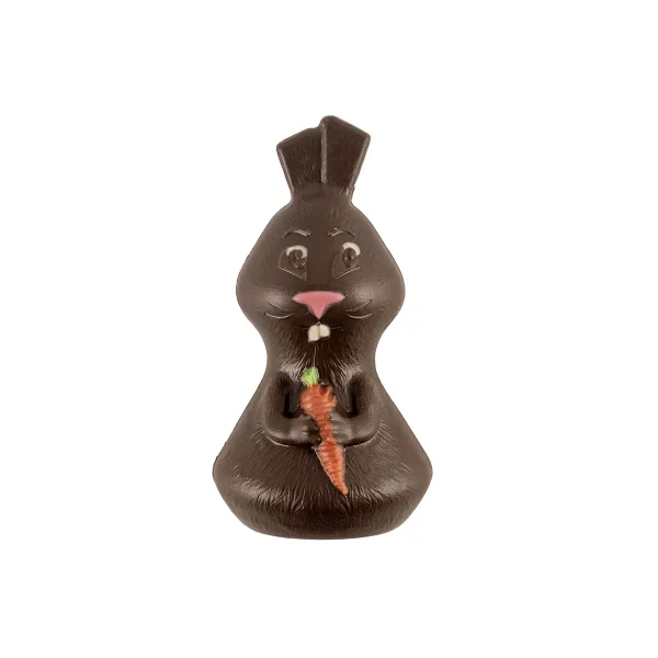 LAPIN NOIR T1