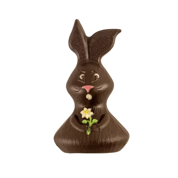 LAPIN NOIR T2
