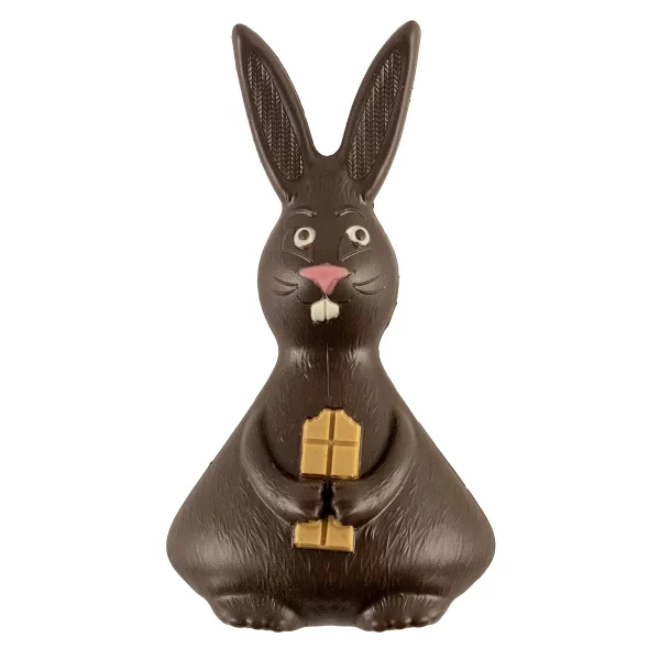 LAPIN NOIR T3