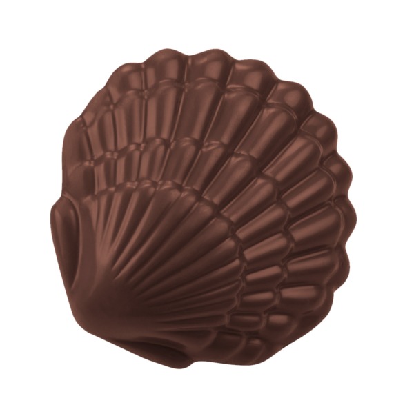 COQUILLE NOIR T2
