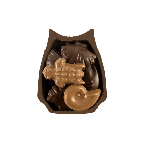 HIBOU NOIR T1