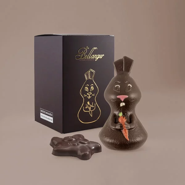 LAPIN NOIR T1