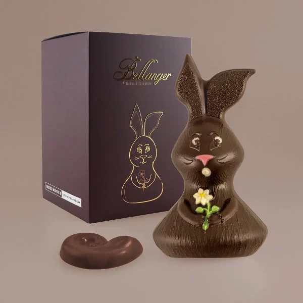LAPIN NOIR T2