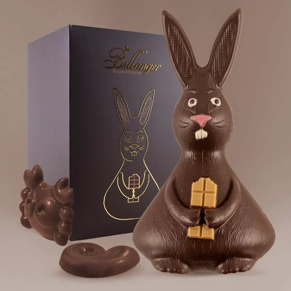 LAPIN NOIR T3