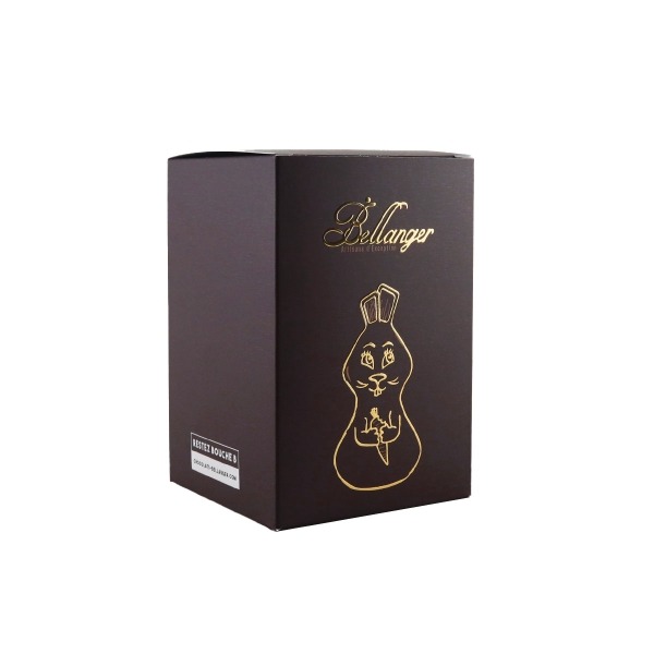 LAPIN NOIR T1