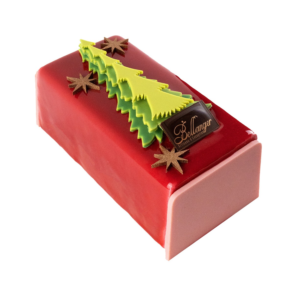 BUCHE ROI DES FORÊTS